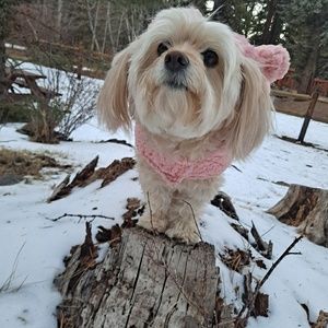 Meet your Posher, Mariela